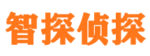 浦口市调查公司